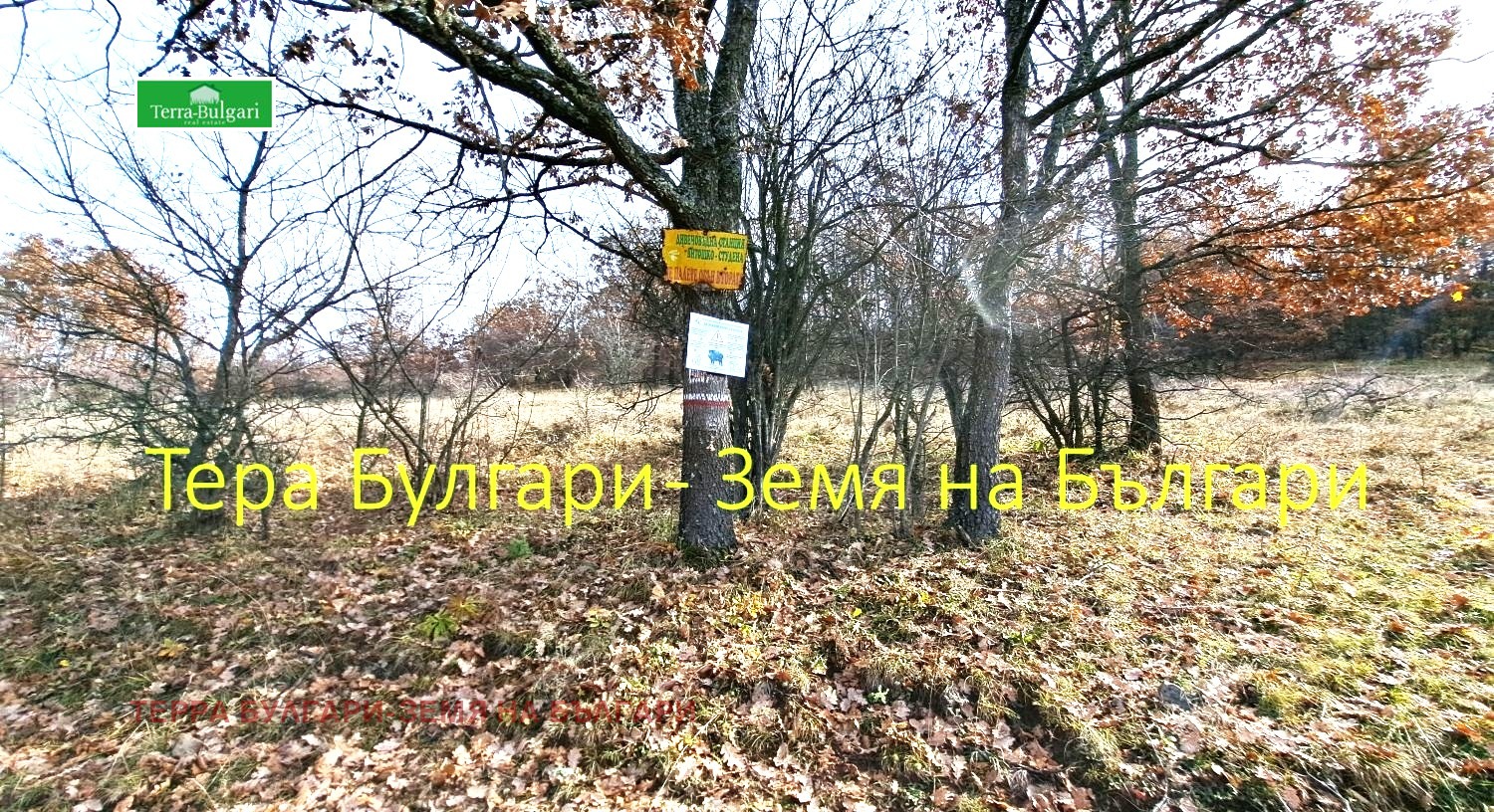 Продава ПАРЦЕЛ, с. Боснек, област Перник, снимка 17 - Парцели - 55254490