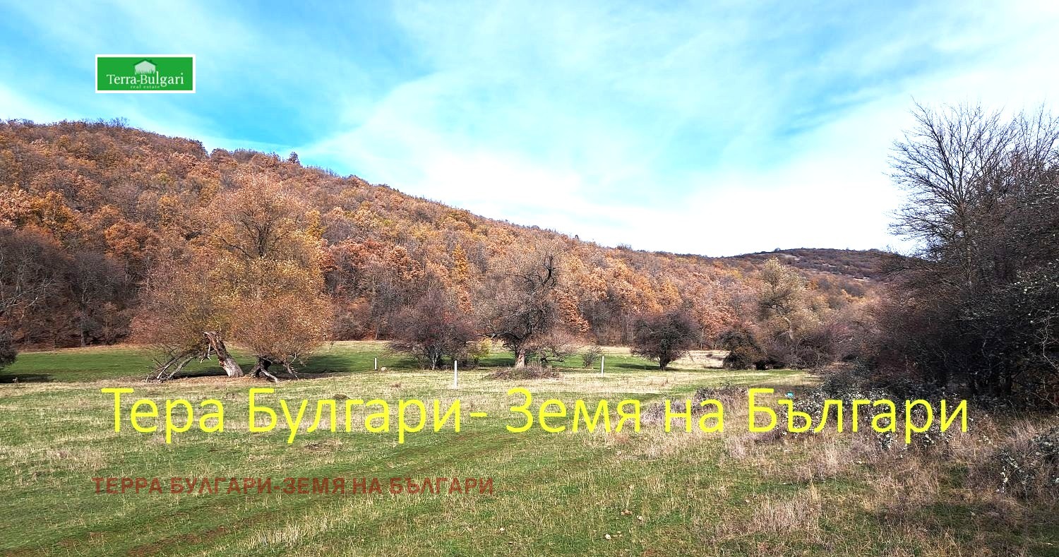 Продава ПАРЦЕЛ, с. Боснек, област Перник, снимка 16 - Парцели - 55254490