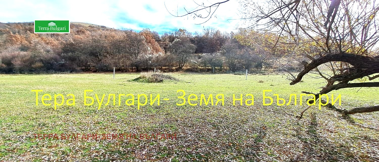 Продава ПАРЦЕЛ, с. Боснек, област Перник, снимка 8 - Парцели - 55254490