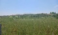 Продава ПАРЦЕЛ, Извън страната, област Извън страната, снимка 5