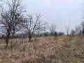 Продава ПАРЦЕЛ, област Русе, с. Николово • 24900 € / 48700.17 лв. • 23041125 2