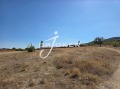 Продава ПАРЦЕЛ, област Кърджали, с. Опълченско • 105147 € • 88214333 — Holmes.bg