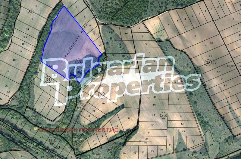 Продава ПАРЦЕЛ в област Бургас, с. Белила - 64994 кв.м / 129 998 € » 254 253.99 лв., БЪЛГЕРИАН ПРОПЕРТИС