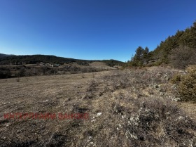 Plot Eleshnitsa, region Blagoevgrad 9