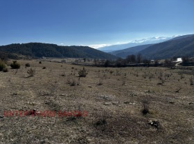 Plot Eleshnitsa, region Blagoevgrad 10