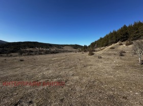 Plot Eleshnitsa, region Blagoevgrad 3