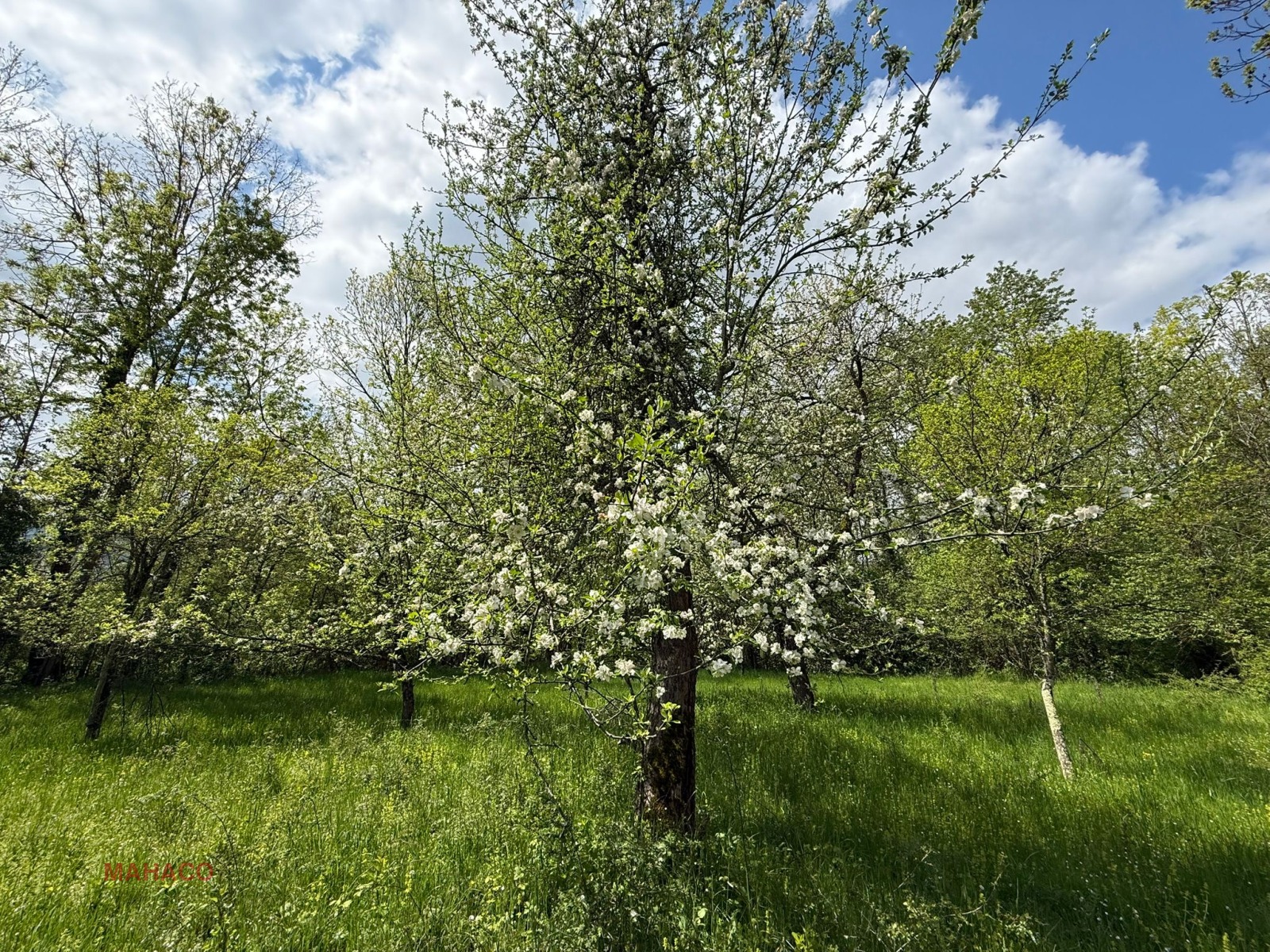 Продава КЪЩА, с. Осиковска Лакавица, област София област, снимка 6 - Къщи - 54539522