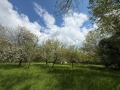 Продава КЪЩА, с. Осиковска Лакавица, област София област, снимка 7