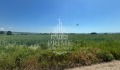 Продава ПАРЦЕЛ, гр. Игнатиево, област Варна, снимка 1