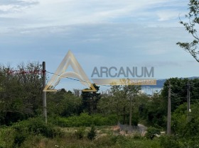 ������ ������� ������