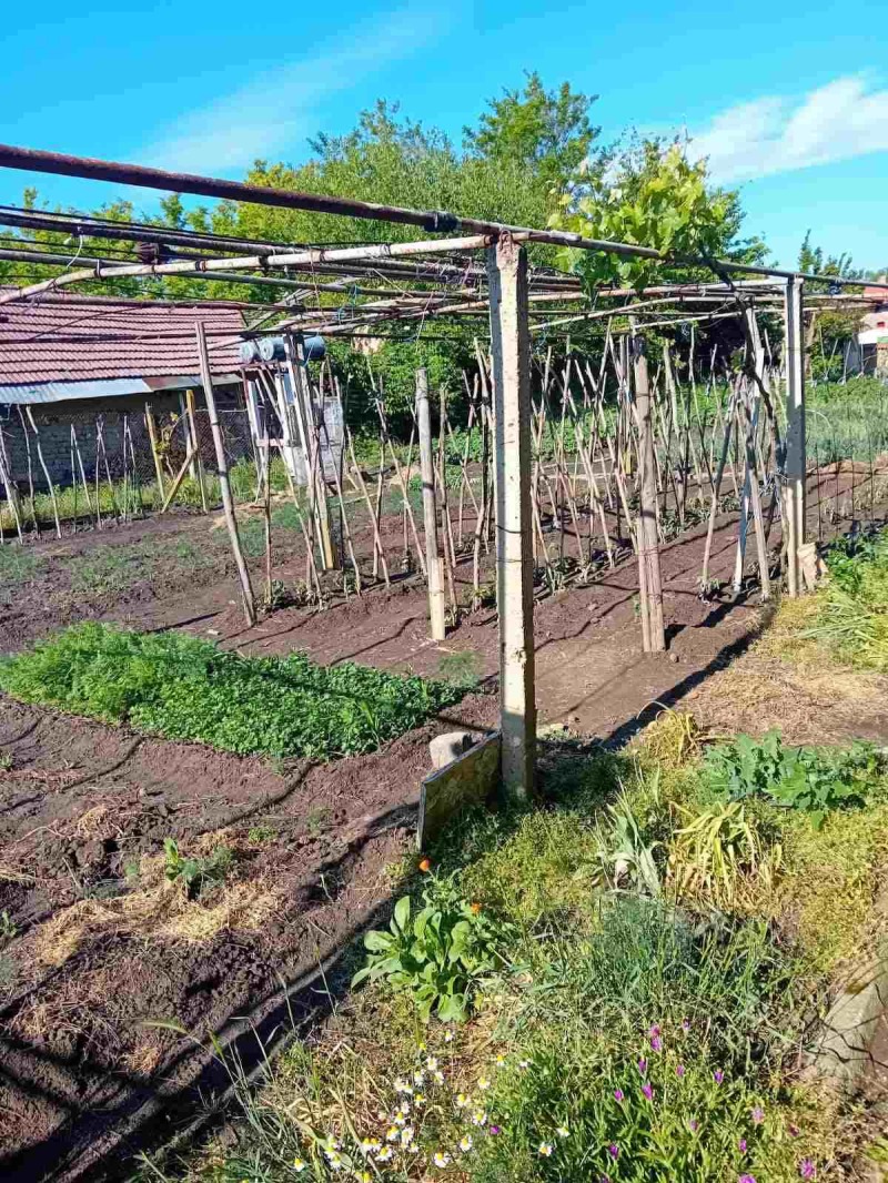 Satılık  Ev bölge Plevne , Balgarene , 140 metrekare | 76630894 - görüntü [2]