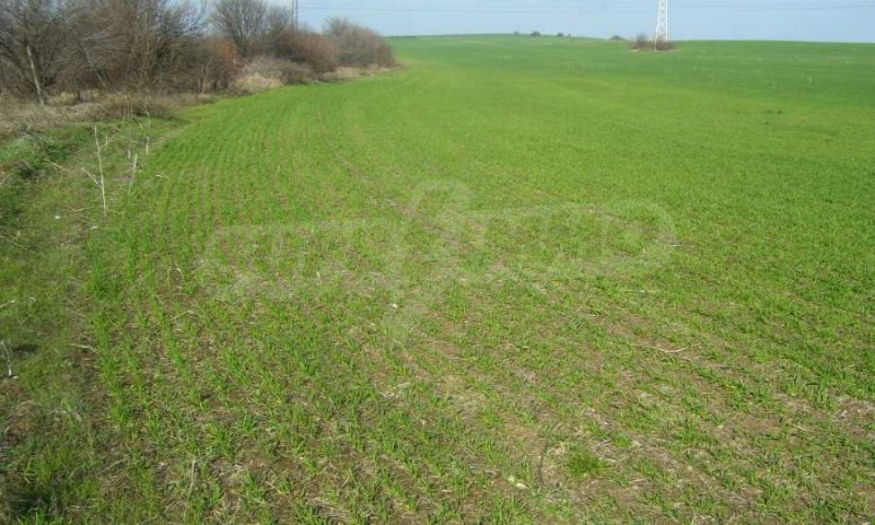 Продава ПАРЦЕЛ, гр. Велико Търново, Промишлена зона - Запад, снимка 4 - Парцели - 53154319