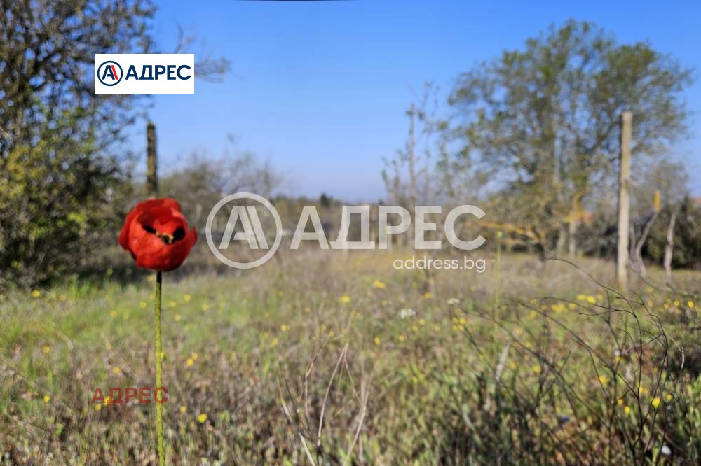 Продава ПАРЦЕЛ, гр. Варна, м-т Боровец - север, снимка 2 - Парцели - 54343332