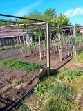 Продава КЪЩА, област Плевен, с. Българене • 55000 лв. / 28121.05 € • 36973285 2