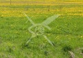 Продава ПАРЦЕЛ, област Пловдив, с. Марково • 164000 € / 320756.12 лв. • 46319588 1