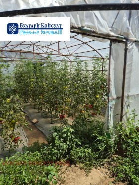 ������� ���� | Imot.bg � ����� ������ 17