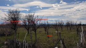 ������ ������� ������