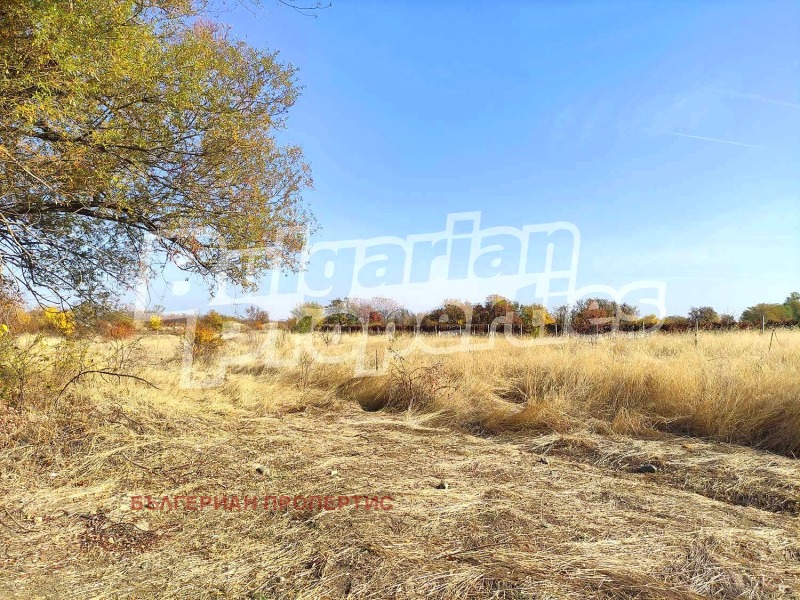 For Sale  Plot region Plovdiv , Parvenets , 4410 sq.m | 15943034 - image [10]