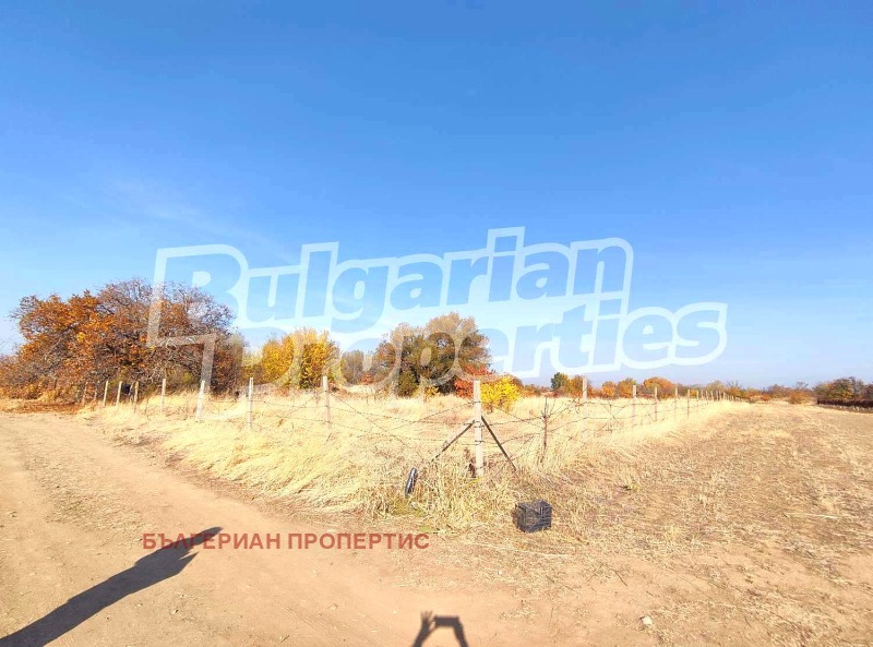 For Sale  Plot region Plovdiv , Parvenets , 4410 sq.m | 15943034 - image [4]