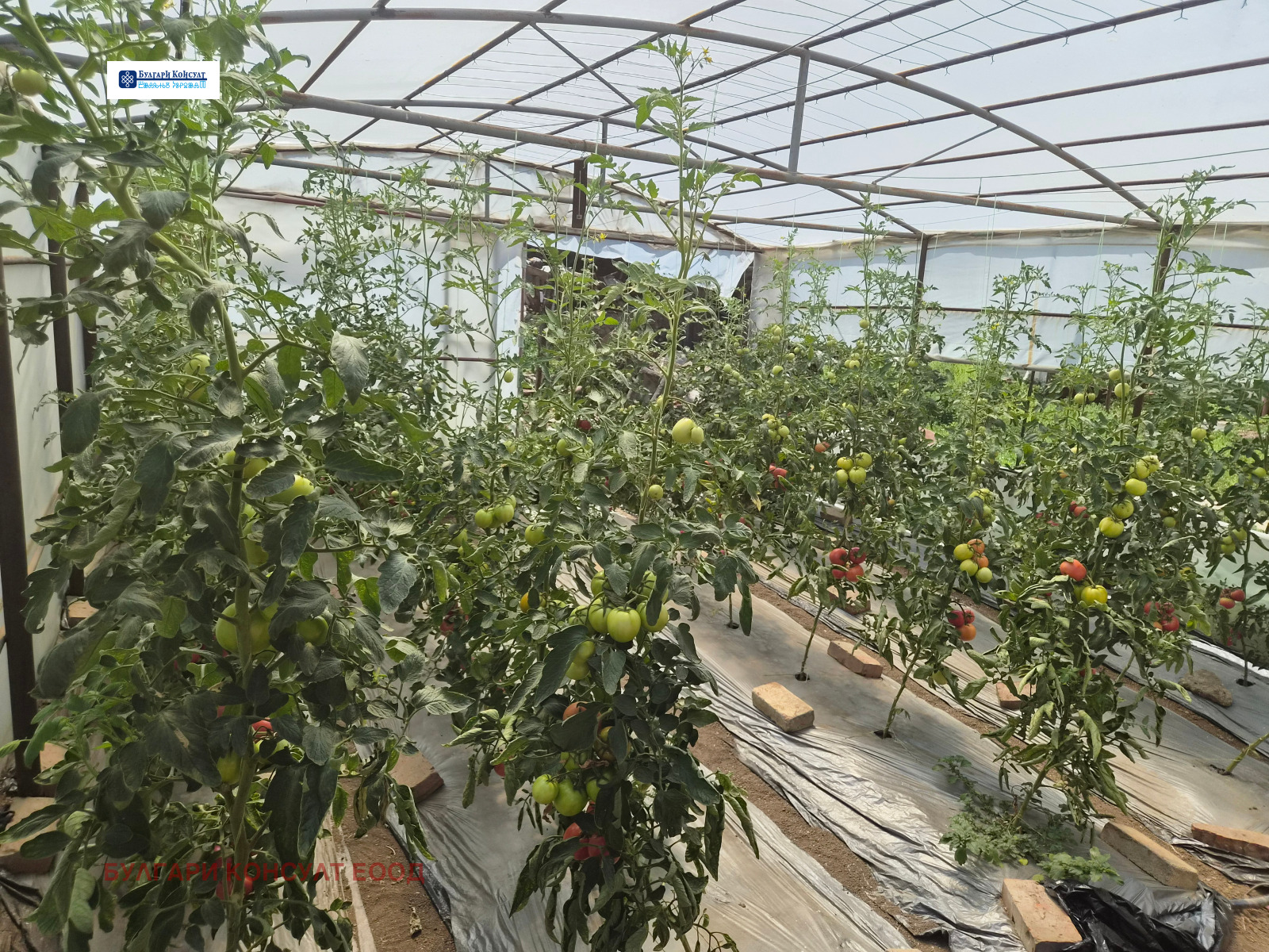Продава КЪЩА, гр. Кюстендил, в.з. Север, снимка 16 - Къщи - 55491857