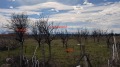 Продава ПАРЦЕЛ, гр. Пловдив, Кършияка, снимка 2