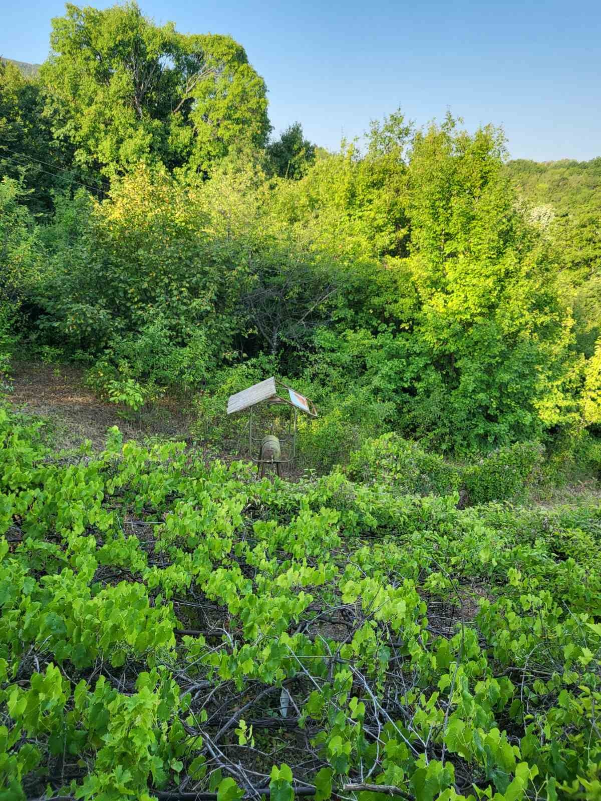 Продава ВИЛА | Imot.bg — изображение 11