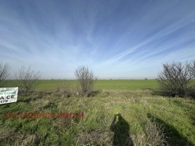 ����� ������� ������,�. ��������, ������ �������