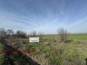 ����� ������� ������,�. ��������, ������ �������>