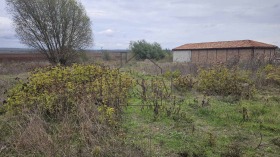 ����� ������� ������,�. ���� �������, ������ �����