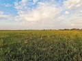 Продава ПАРЦЕЛ, град Пловдив, Прослав • 280000 € • 83999257 — Holmes.bg