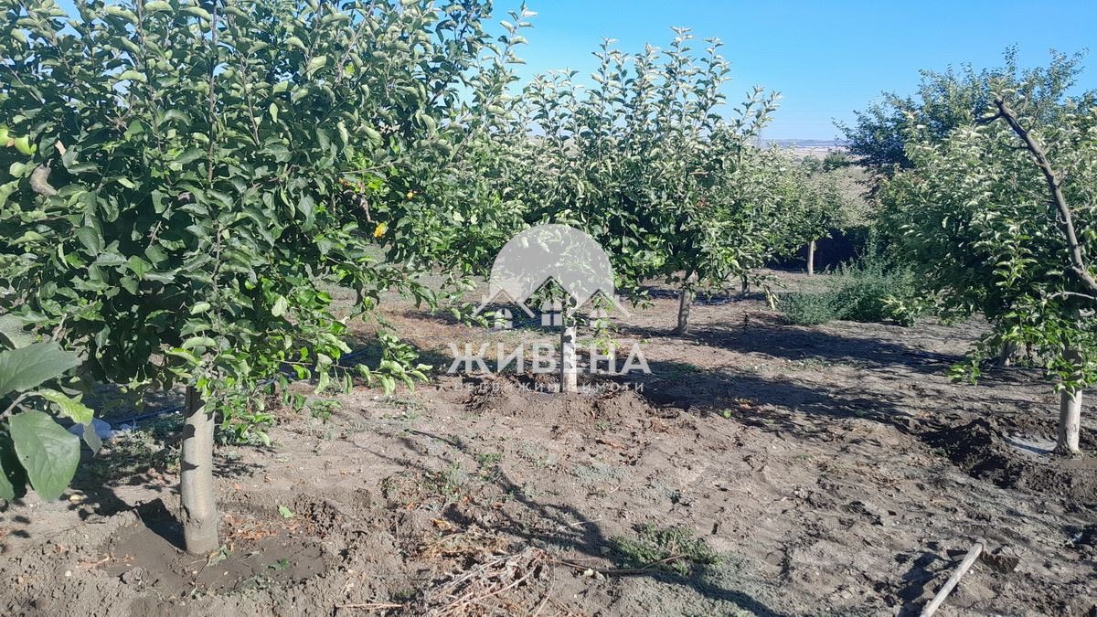 ������� ���� | Imot.bg � ����������� 5