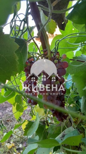 ������� ���� | Imot.bg � ����� ������ 16