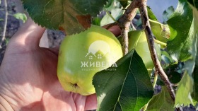������� ���� | Imot.bg � ����� ������ 10