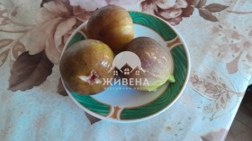 ������� ���� | Imot.bg � ����� ������ 12
