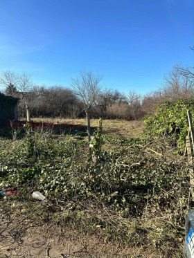 ������� ���� | Imot.bg � ����� ������ 8