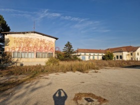 ������ ������� ����. ���������