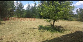 ������� ������ | Imot.bg � ����� ������ 2