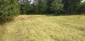 ������� ������ | Imot.bg � ����� ������ 6