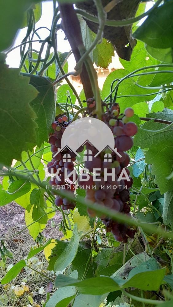 Продава КЪЩА, с. Житница, област Варна, снимка 16 - Къщи - 54884490