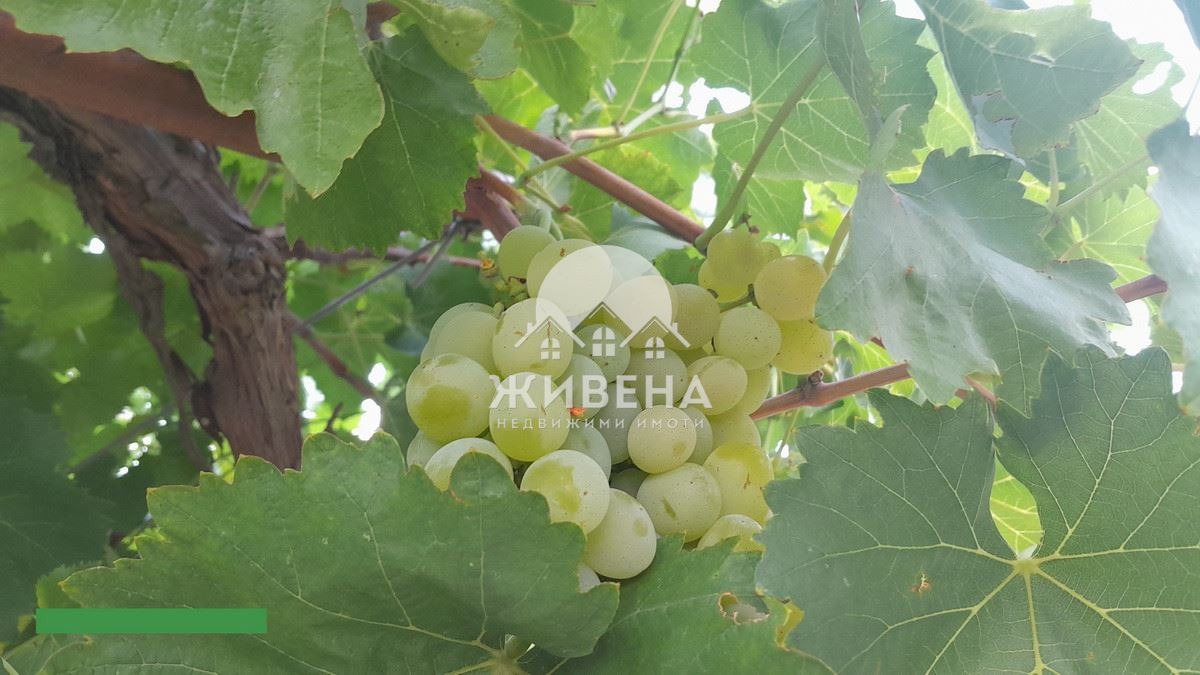Продава КЪЩА, с. Житница, област Варна, снимка 14 - Къщи - 54884490