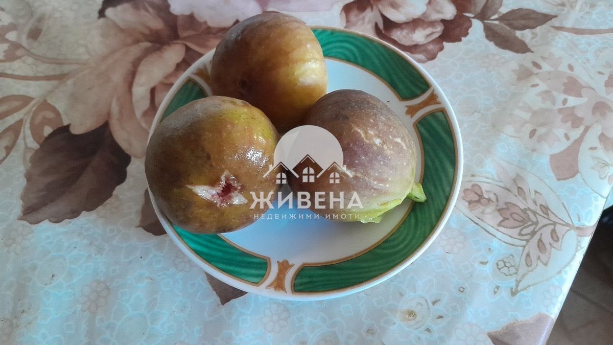 Продава КЪЩА, с. Житница, област Варна, снимка 12 - Къщи - 54884490