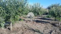 Продава КЪЩА, с. Житница, област Варна, снимка 5