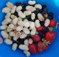 Продава КЪЩА, с. Житница, област Варна, снимка 9