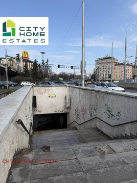 ����� ������� �������,���� �����, �������