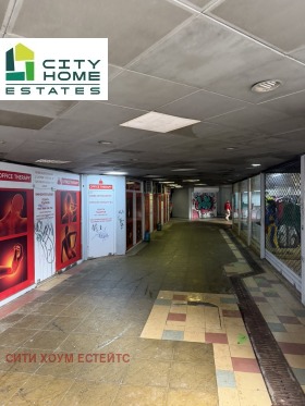 ����� ������� �������,���� �����, �������