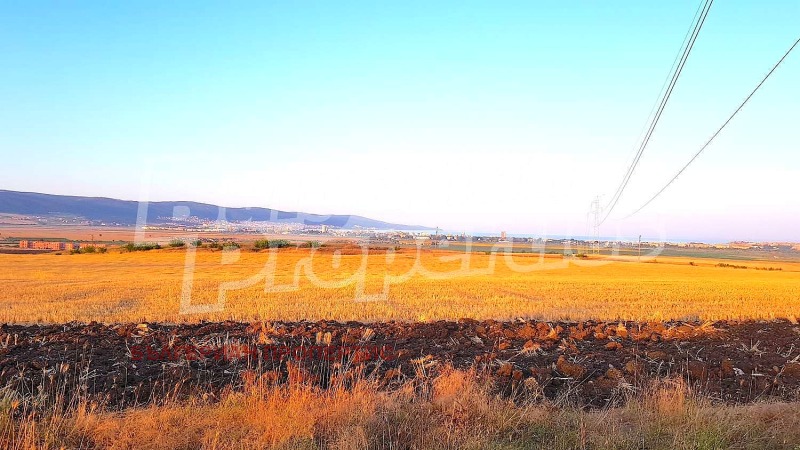 For Sale  Plot region Burgas , Tankovo , 6001 sq.m | 12733188