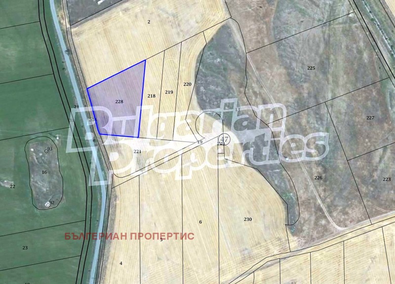 For Sale  Plot region Burgas , Tankovo , 6001 sq.m | 12733188 - image [3]