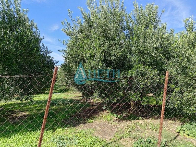 ������� ������ | Imot.bg � ����������� 5