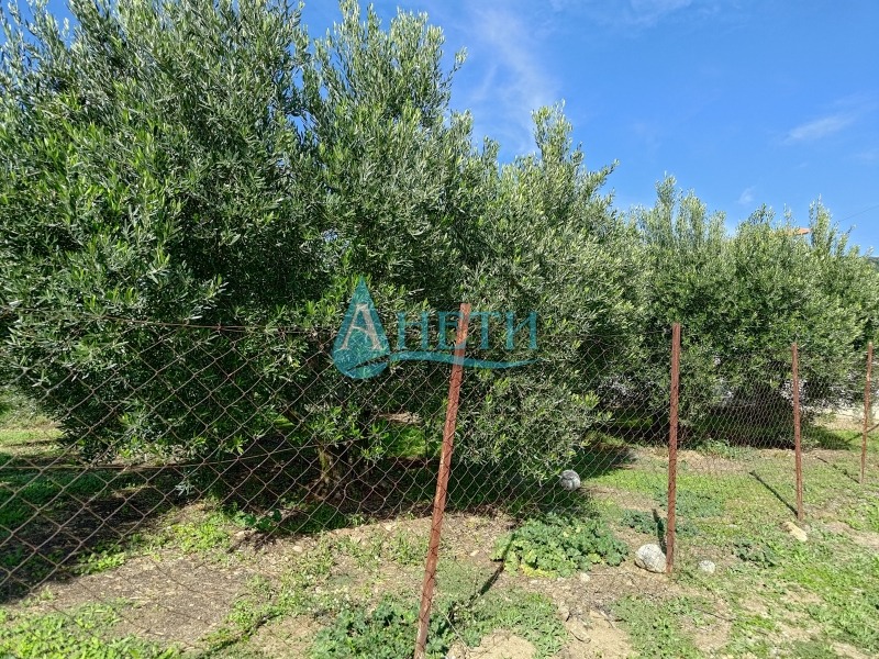 ������� ������ | Imot.bg � ����������� 1