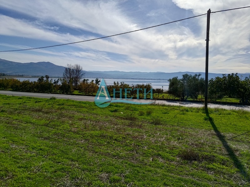 ������� ������ | Imot.bg � ����������� 6